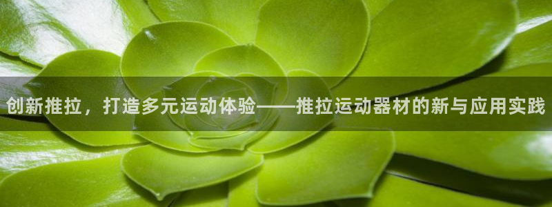 fb体育招商电话号码查询是多少：创新推拉，打造多元运