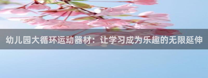 fb体育官方：幼儿园大循环运动器材：让学习成为乐趣的