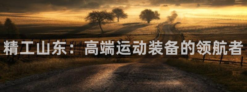 fb体育招商电话是多少号码：精工山东：高端运动装备的领航者