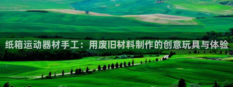 fb体育是干嘛的公司：纸箱运动器材手工：用废旧材料制