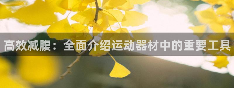 fb体育招商电话是多少：高效减腹：全面介绍运动器材中的重要工