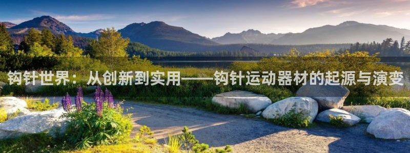 fb体育娱乐首页网站大全：钩针世界：从创新到实用——钩针运动