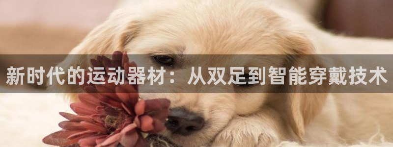 fb体育娱乐下载：新时代的运动器材：从双足到智能穿戴技术