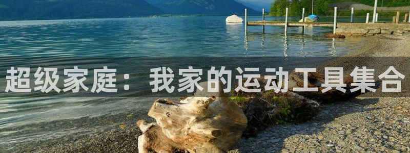 fb体育注册：超级家庭：我家的运动工具集合