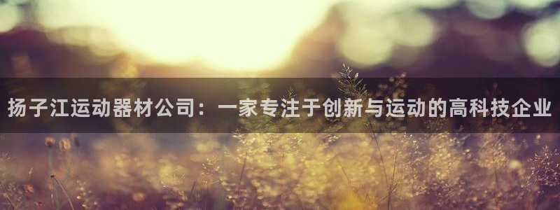 fb体育娱乐下载：扬子江运动器材公司：一家专注于创新与运动的