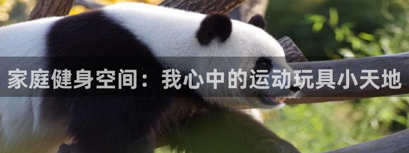 fb体育招商电话地址