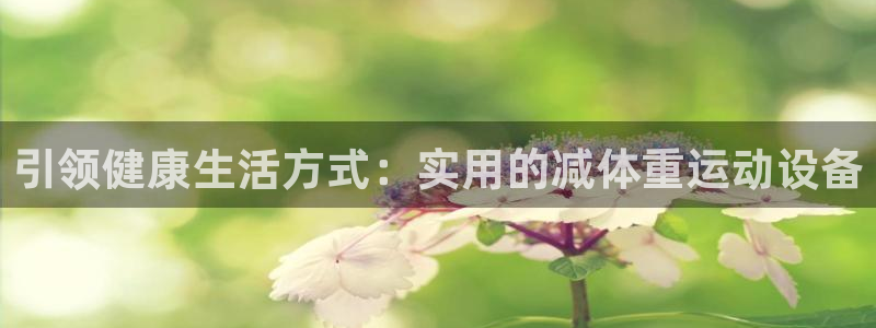 fb体育神州：引领健康生活方式：实用的减体重运动设备