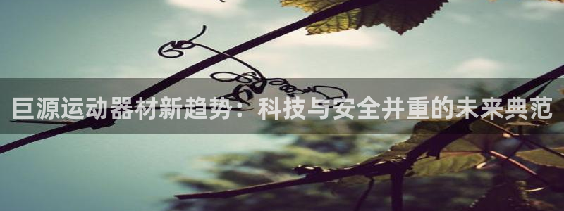 fb体育招商电话地址：巨源运动器材新趋势：科技与安全并重的未
