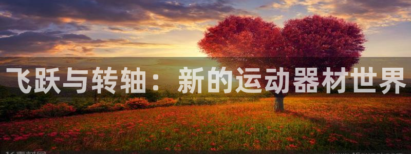 fb体育平台假的吗是真的吗：飞跃与转轴：新的运动器材世界