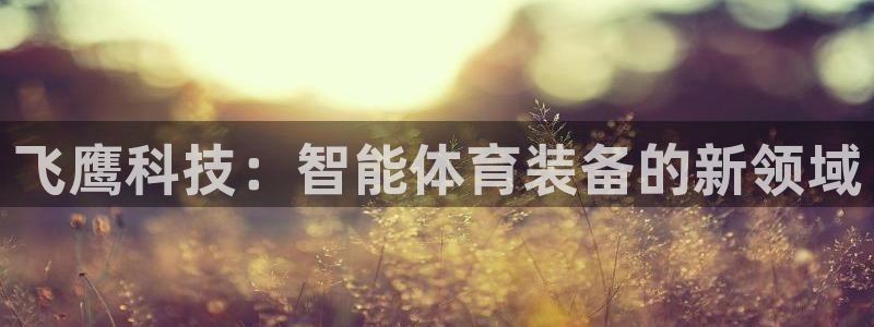 fb体育平台APP：飞鹰科技：智能体育装备的新领域