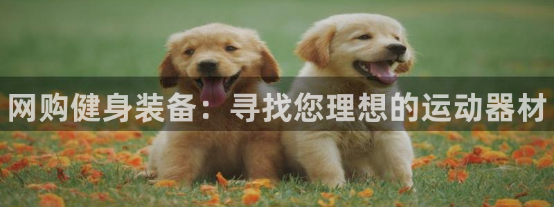fb体育招商电话号码：网购健身装备：寻找您理想的运动器材