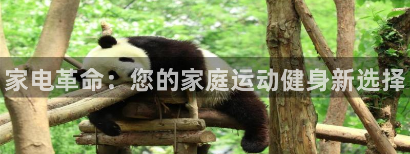 fb体育招商电话地址：家电革命：您的家庭运动健身新选择